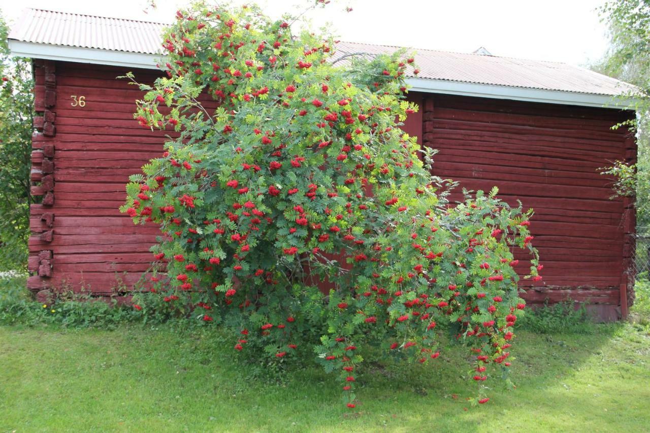 Appartement Idyllinen Kaksio à Kankaanpää Extérieur photo